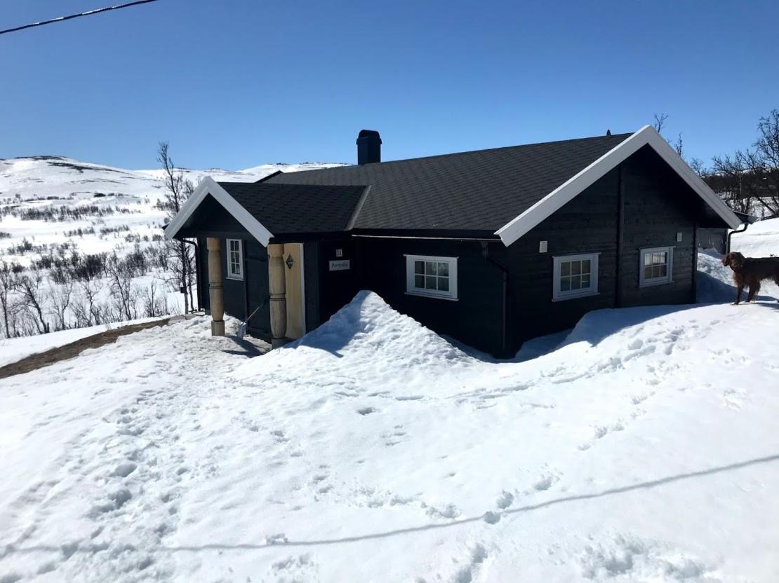 Berntebu Uvdal Exterior foto